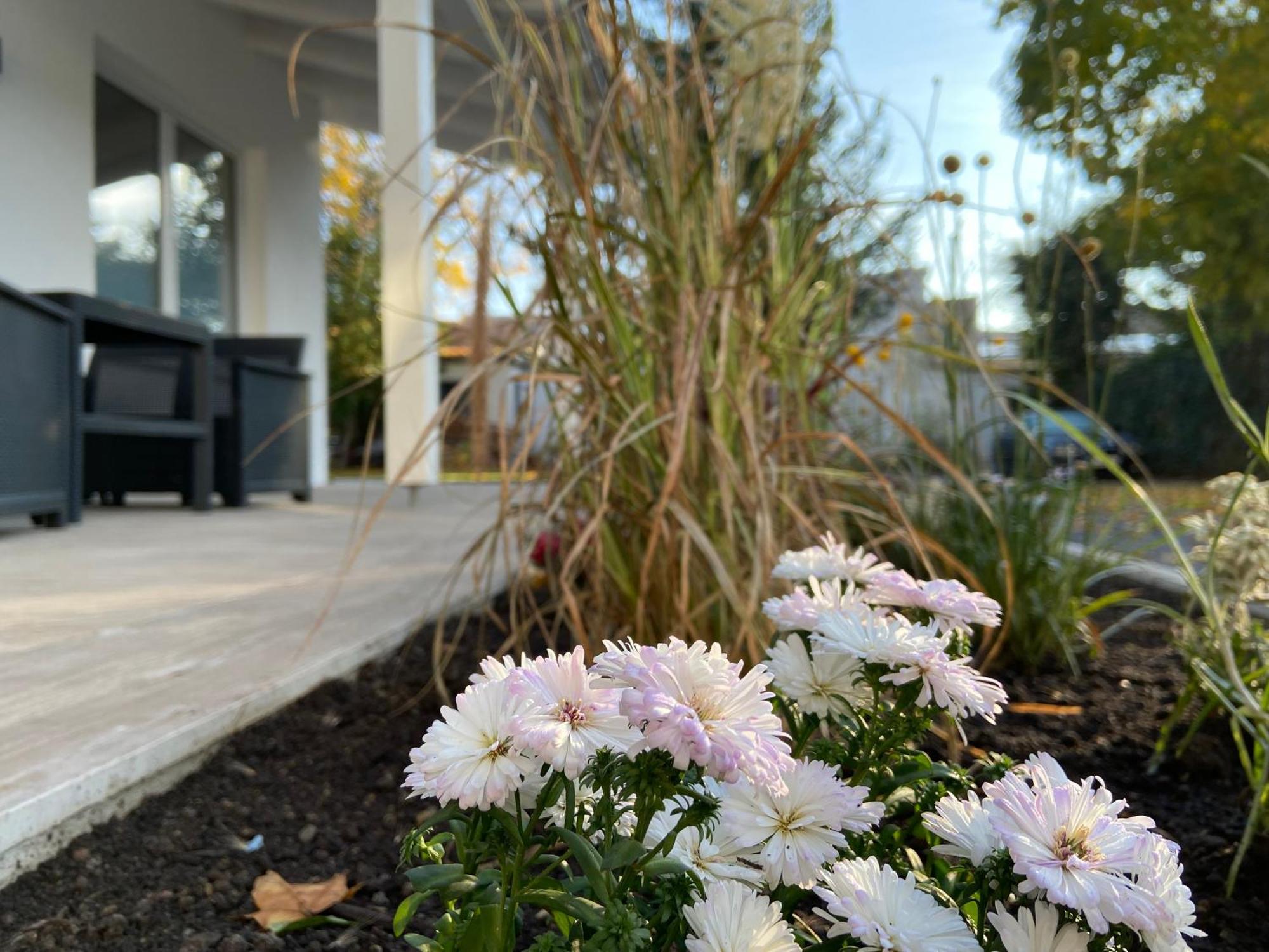 Auszeit Erfurt - Stilvoller Bungalow Mit Parkplatz - Zentrumsnah المظهر الخارجي الصورة